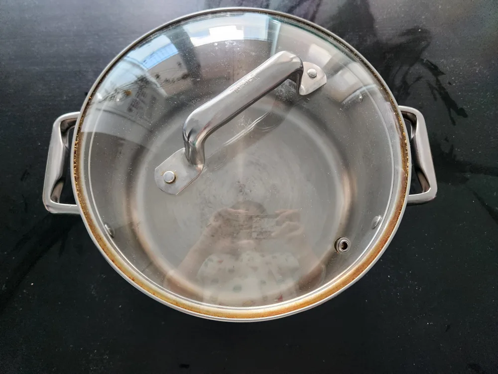 T-fal Stainless Steel Stock Pot with Lid (Large) thumbnail