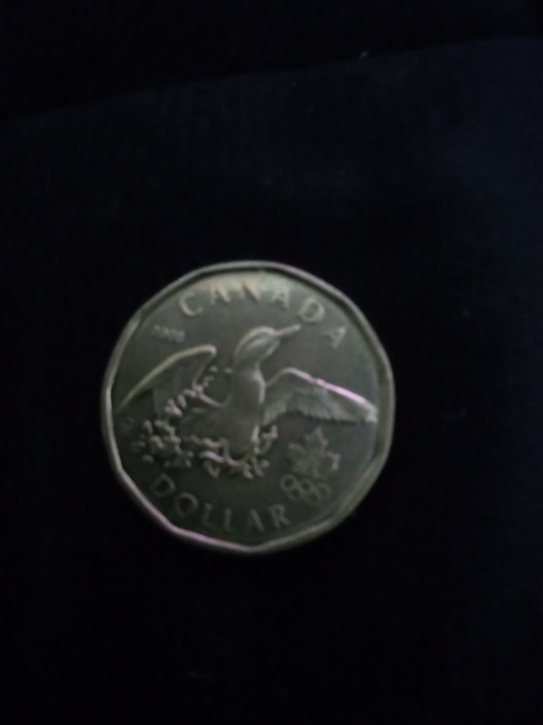 Canadian Loonie Dollar Coin