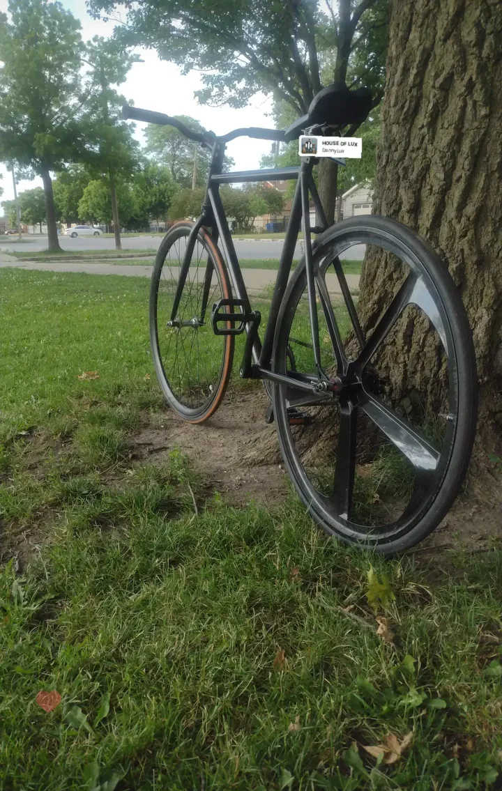 lmk on fixie image indicator(6)