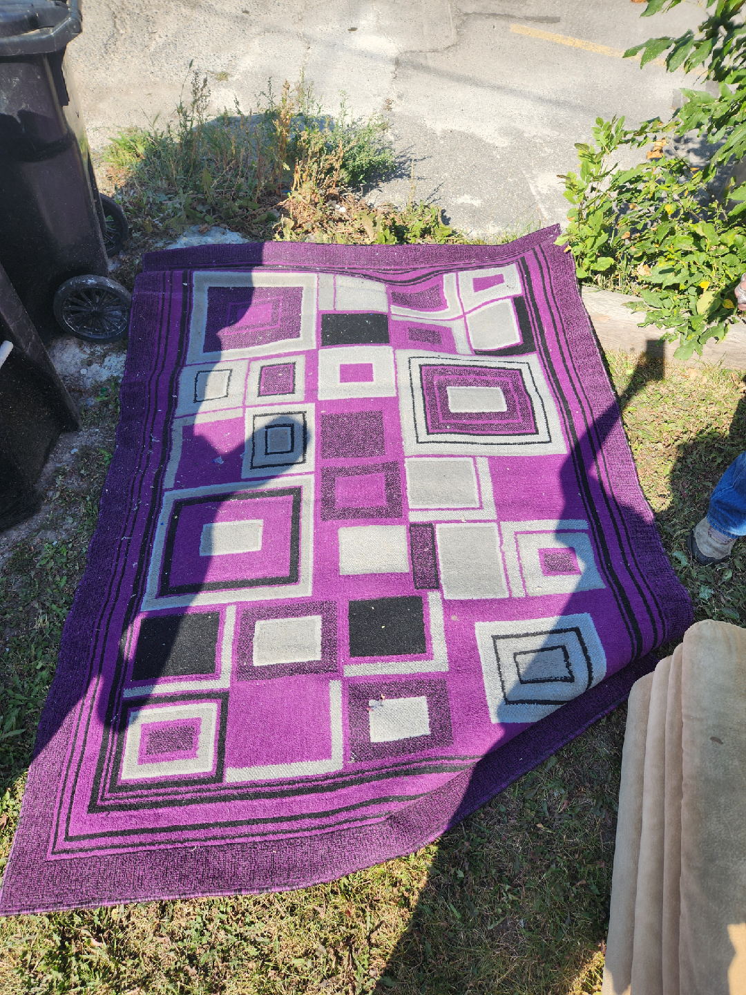 Free Reclining Loveseat with Extra Carpet - photo 2