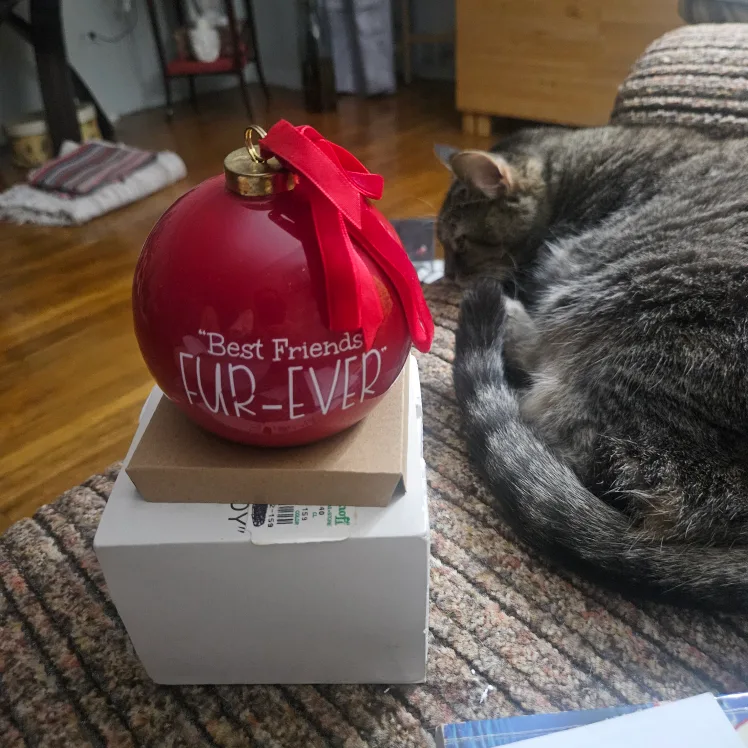 Heavy Ceramic  Christmas Tree Ornament Fur-Ever image indicator(3)