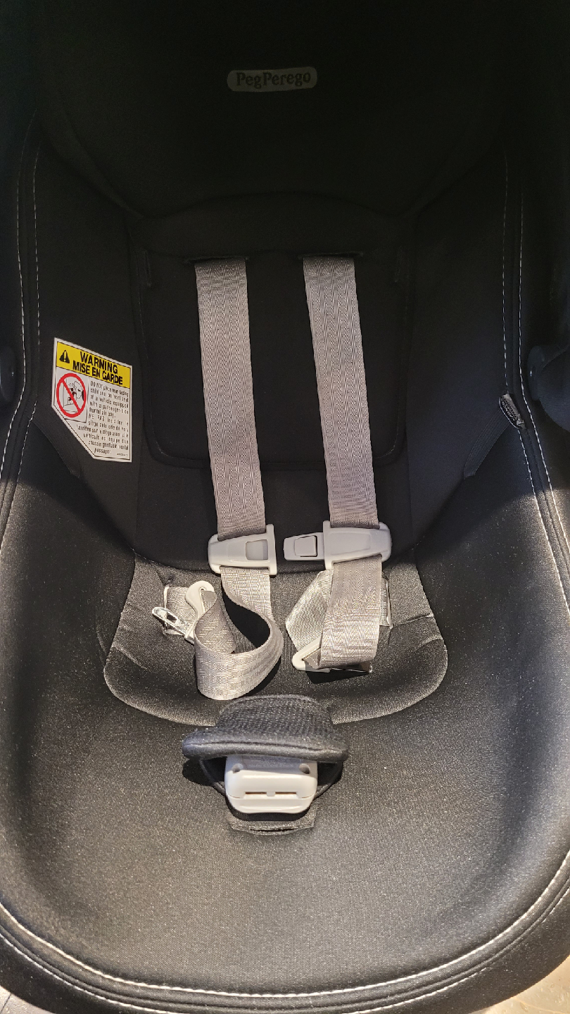 Peg Perego Infant Car Seat & Base - photo 2