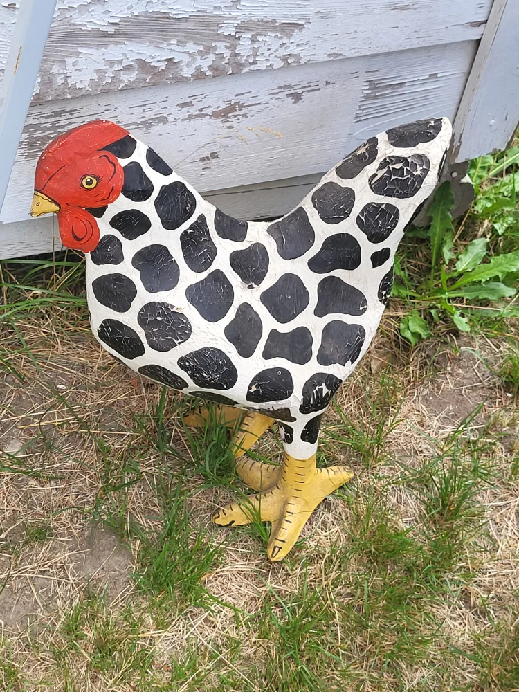 Chicken Decor thumbnail