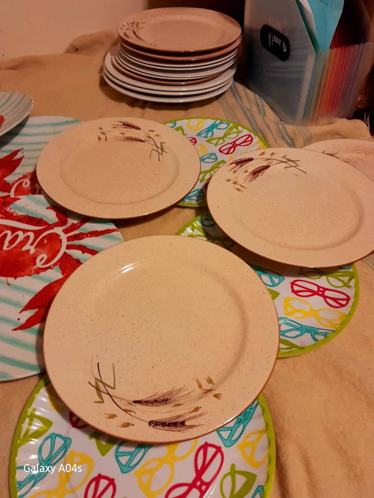 Assorted Decorative Plates,Thrifty Pack of plates🥕 image indicator(4)