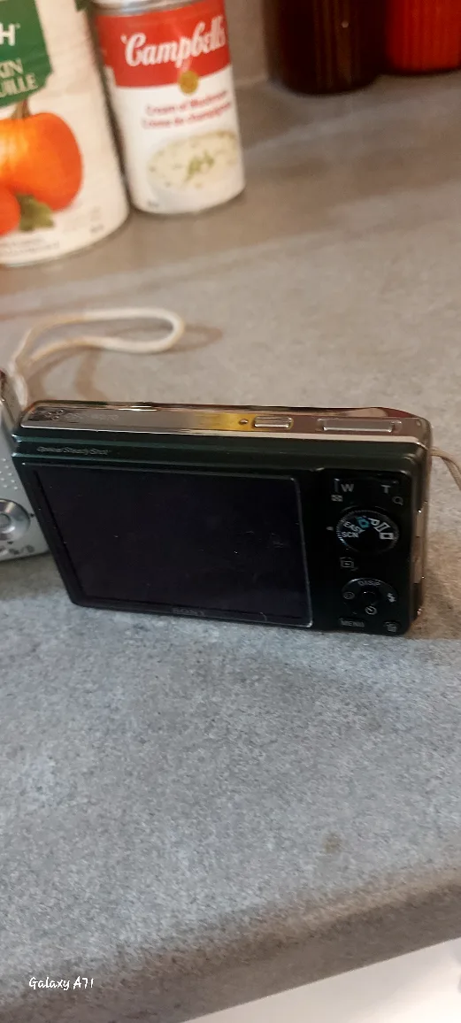 ***(TWO) DIGITAL CAMERAS*** image indicator(5)