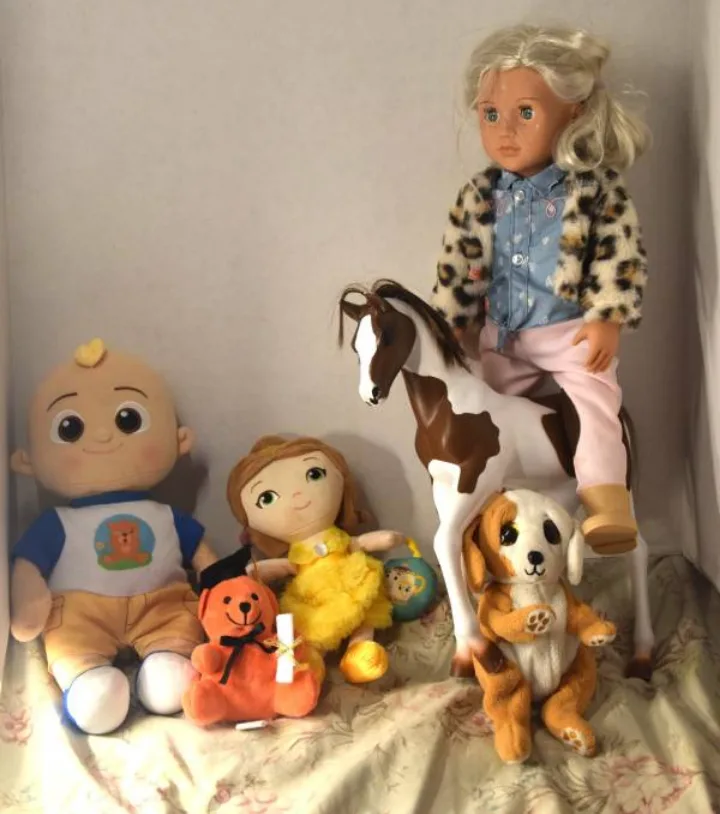 Our Generation Doll with Horse plus more stuffed toys thumbnail
