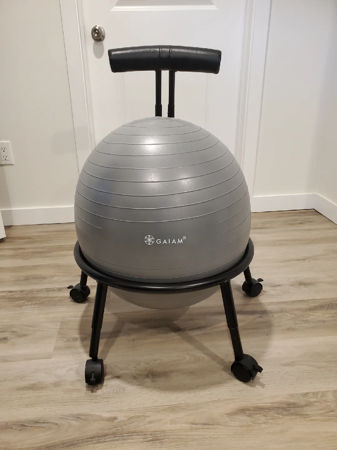 Gaiam Balance Ball Chair