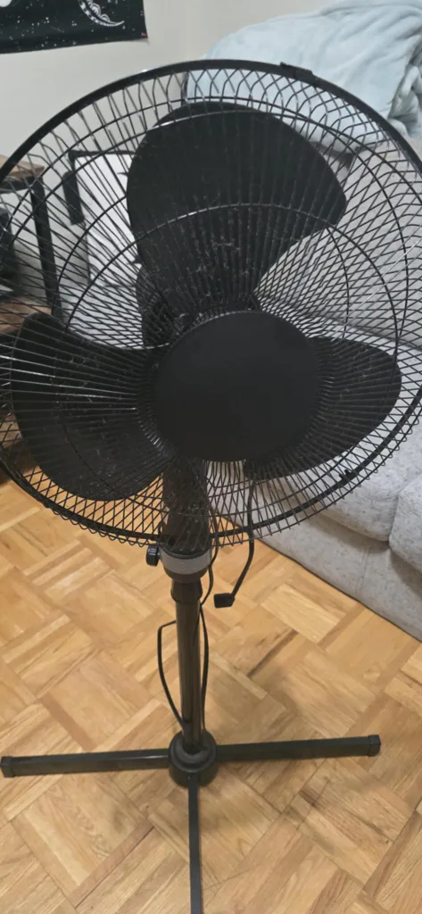 fan