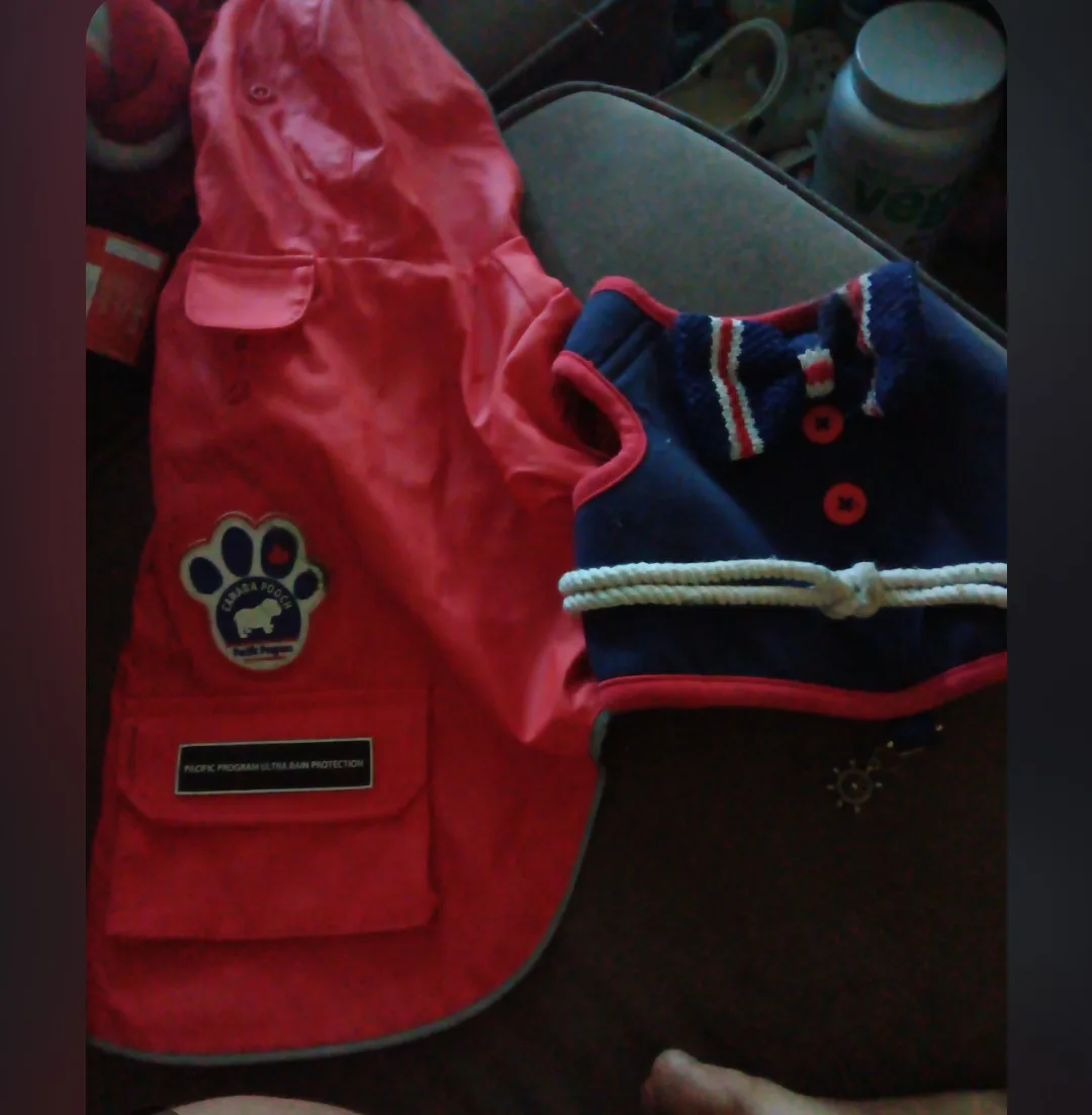 Canada Pooch Raincoat & Dog Sweater #freecycle 🥕 thumbnail