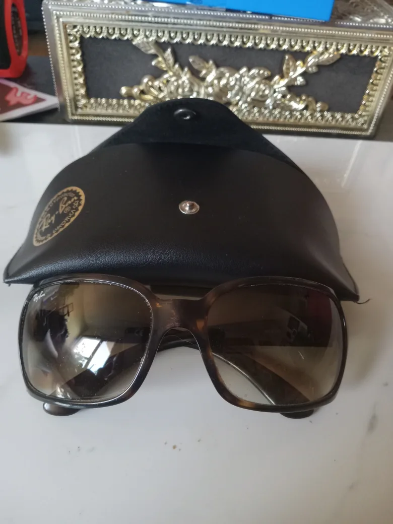 Ray-Ban Sunglasses with Case image indicator(2)