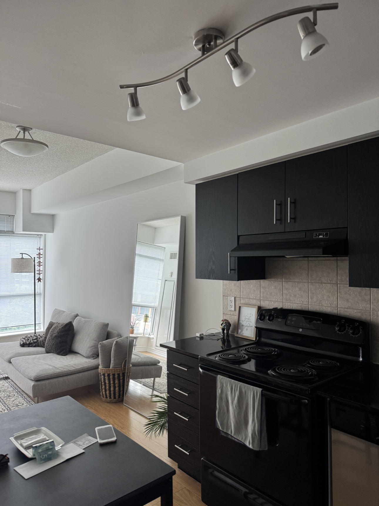 One Bedroom Den Apartment - photo 3