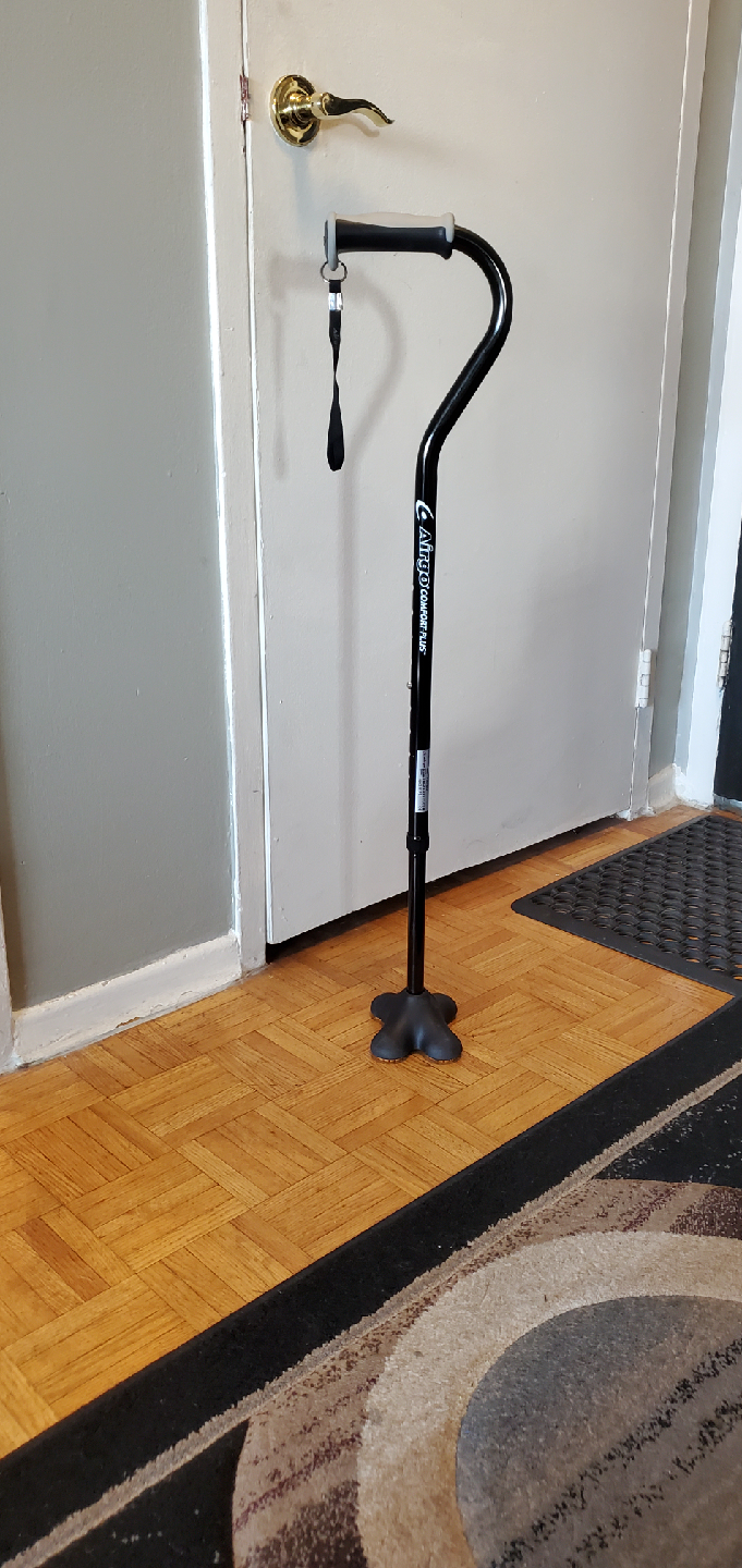 Walking Sticks and White Cane - photo 5