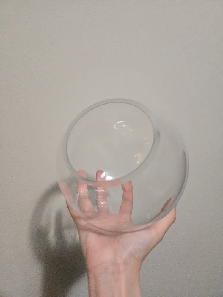 Clear Terrarium Vase M thumbnail