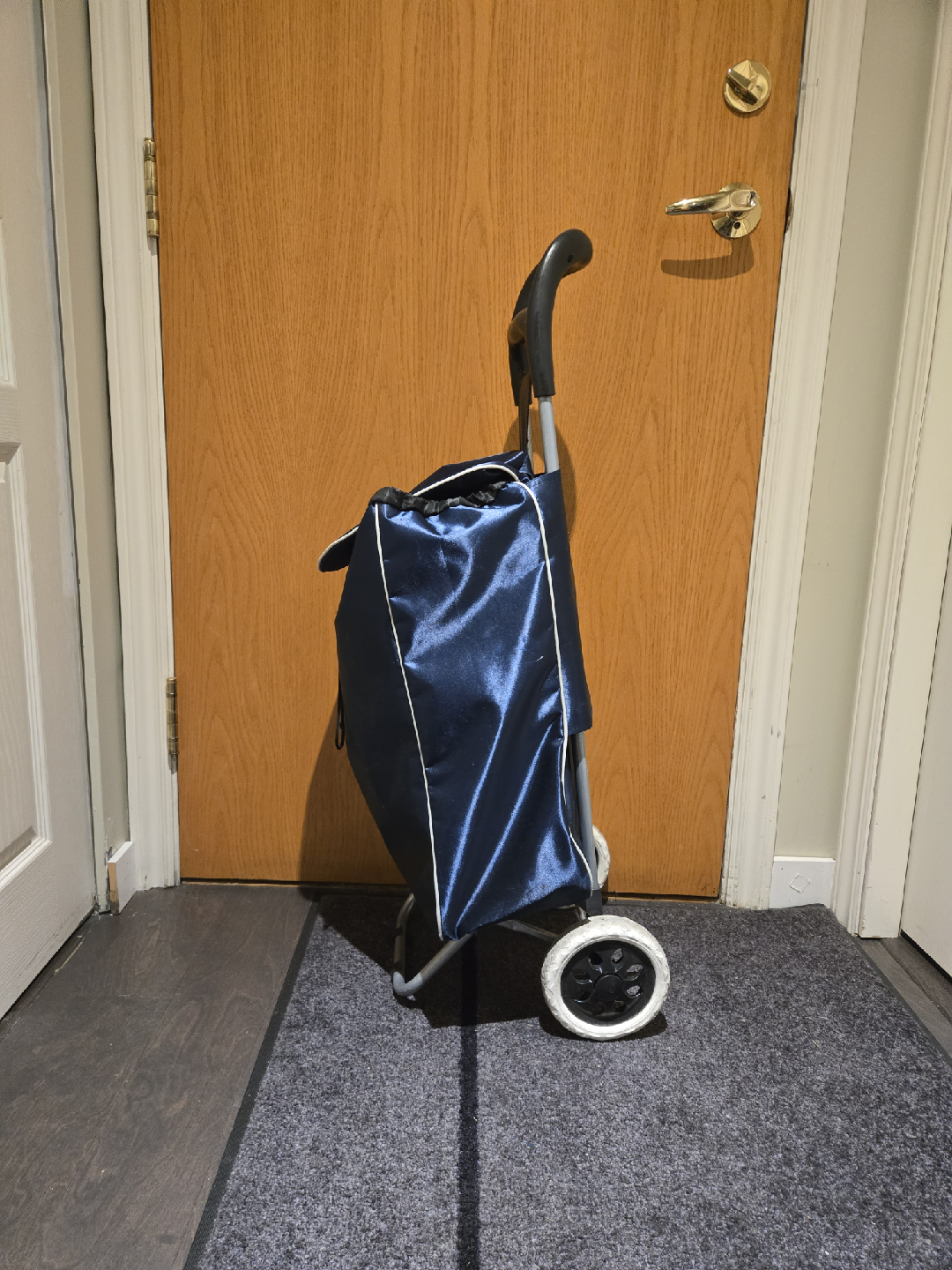 Blue Shopping Trolley Cart - photo 2