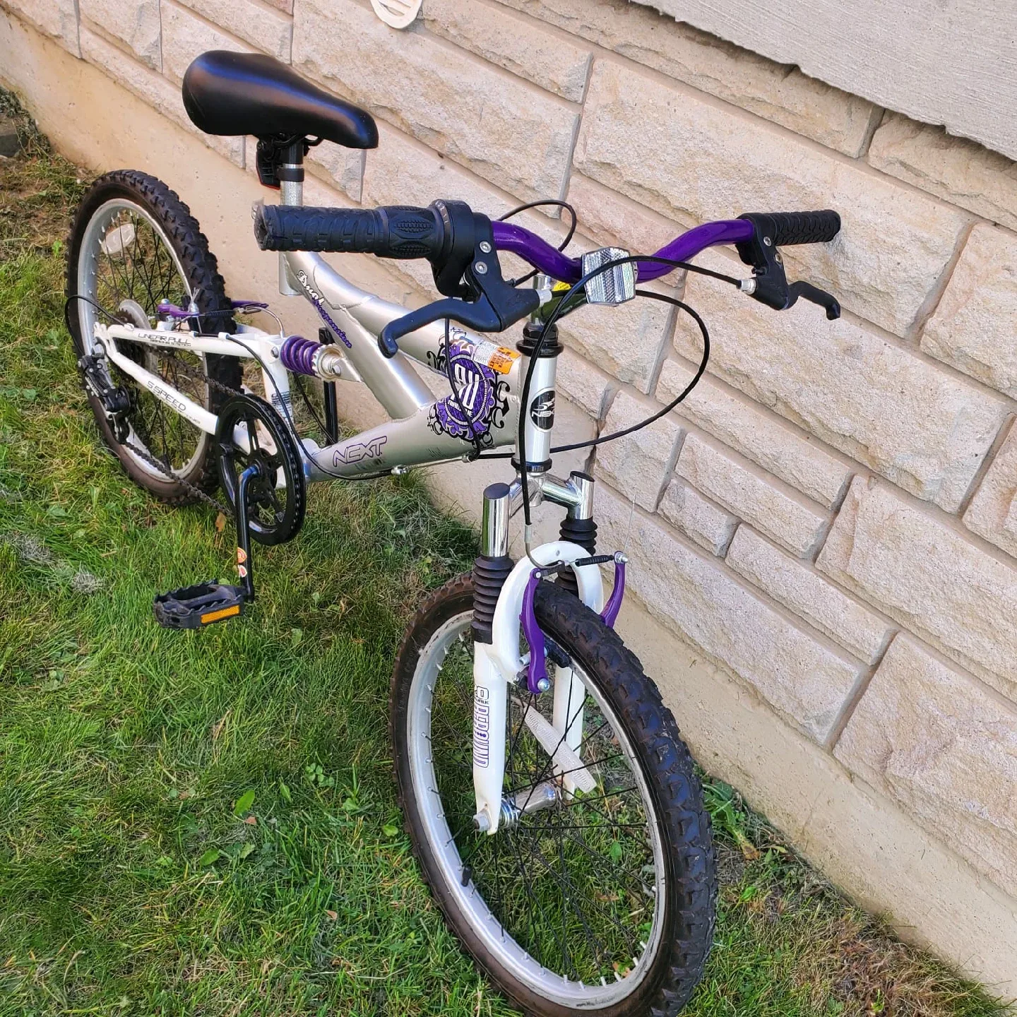 Next Dynacraft Bicycle 20 Airwave Bike image indicator(2)