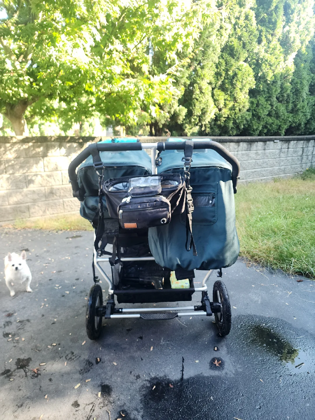 Bumble Ride Indie Twin Double Stroller - Teal image indicator(4)