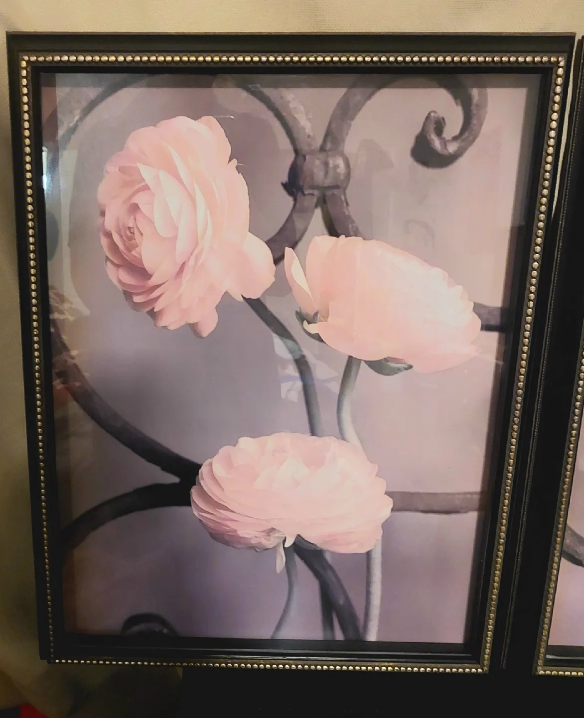 Framed Floral Prints - Set of Two image indicator(3)