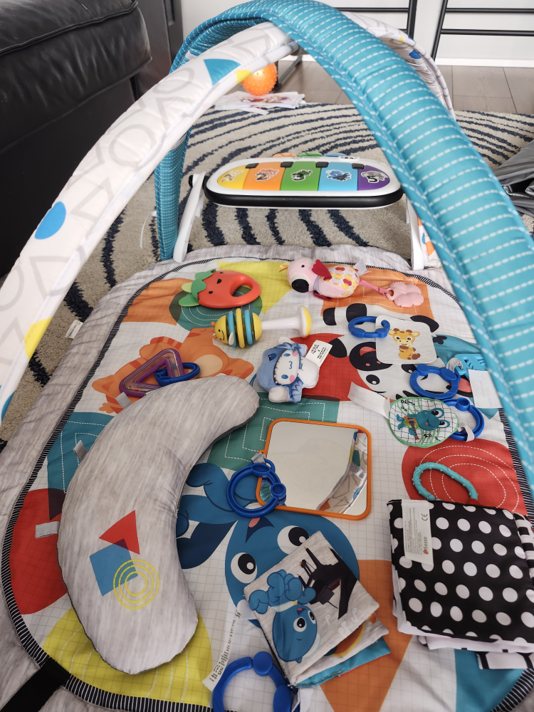 Baby Einstein 4-in-1 gym play mat - photo 3