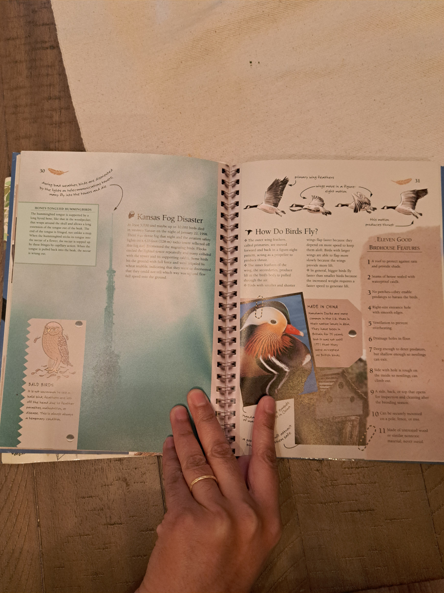 Books for Birders🥕 - photo 2