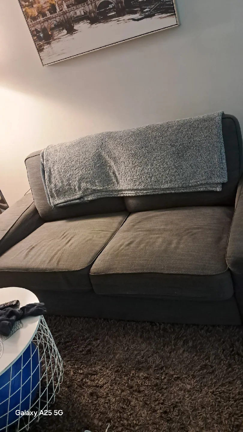 Grey 2-Seat Sofa image indicator(4)