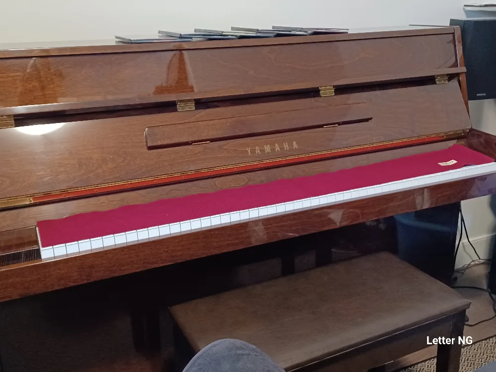 Yamaha Piano image indicator(5)