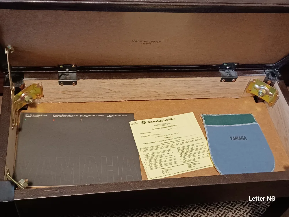 Yamaha Piano image indicator(6)