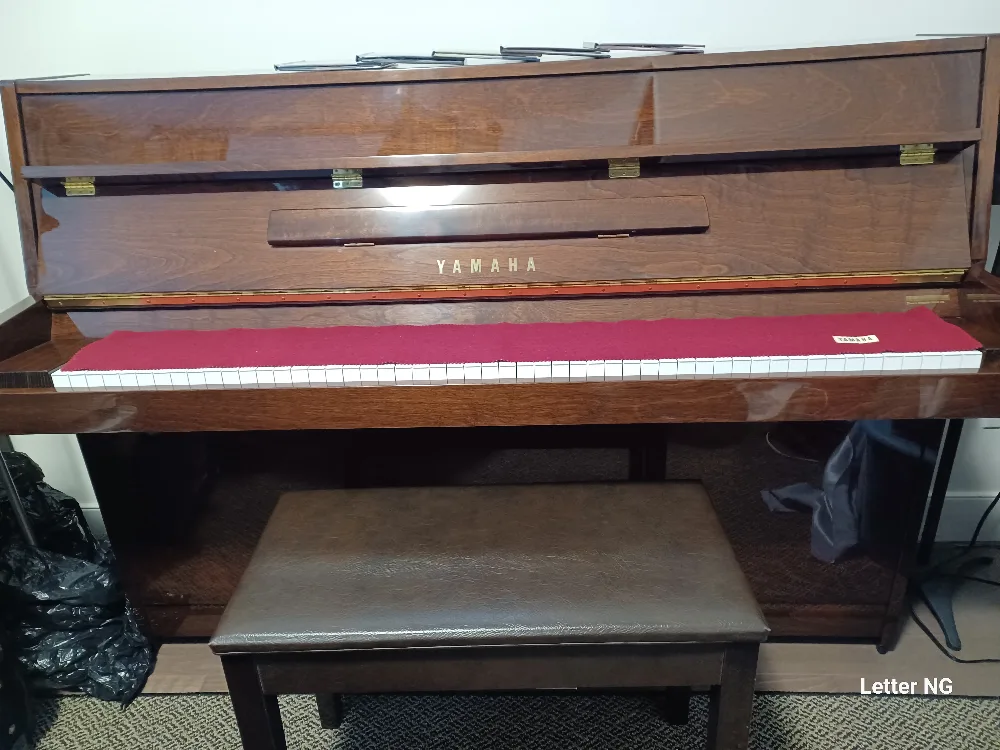 Yamaha Piano image indicator(8)