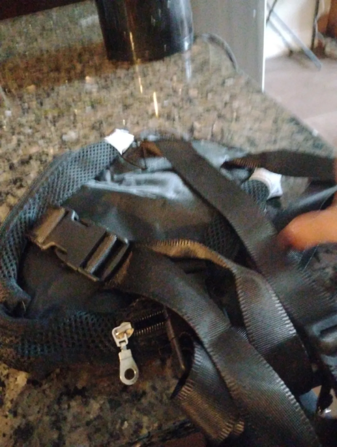 Black Pet Carrier Backpack Mini dog size image indicator(2)