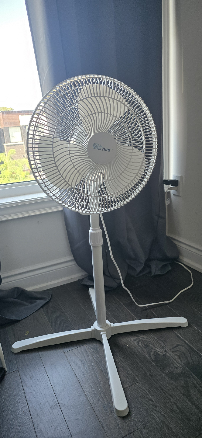 Electric Fan - White