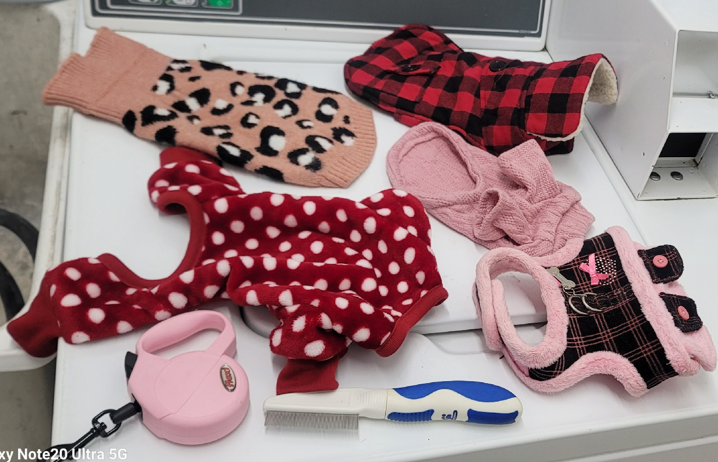 Dog Clothes & Accessories