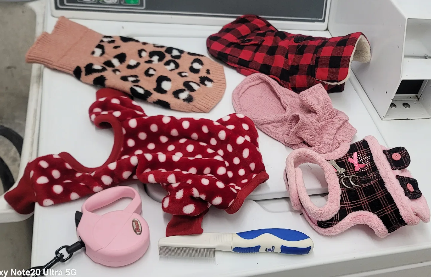 Dog Clothes & Accessories thumbnail
