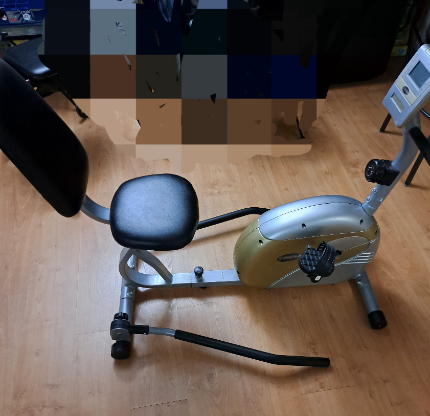 Free Spirit 802 Recumbent Bike - photo 4