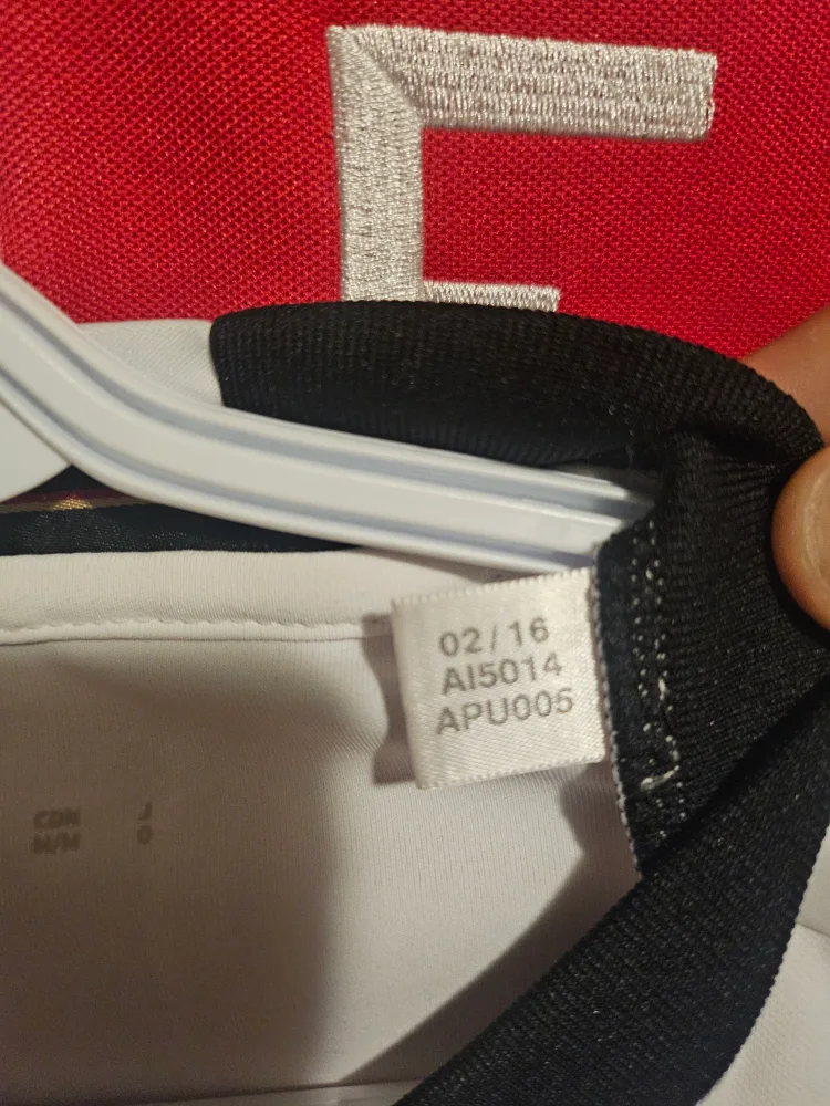 Germany 2016 EUROS adidas soccer jersey image indicator(4)