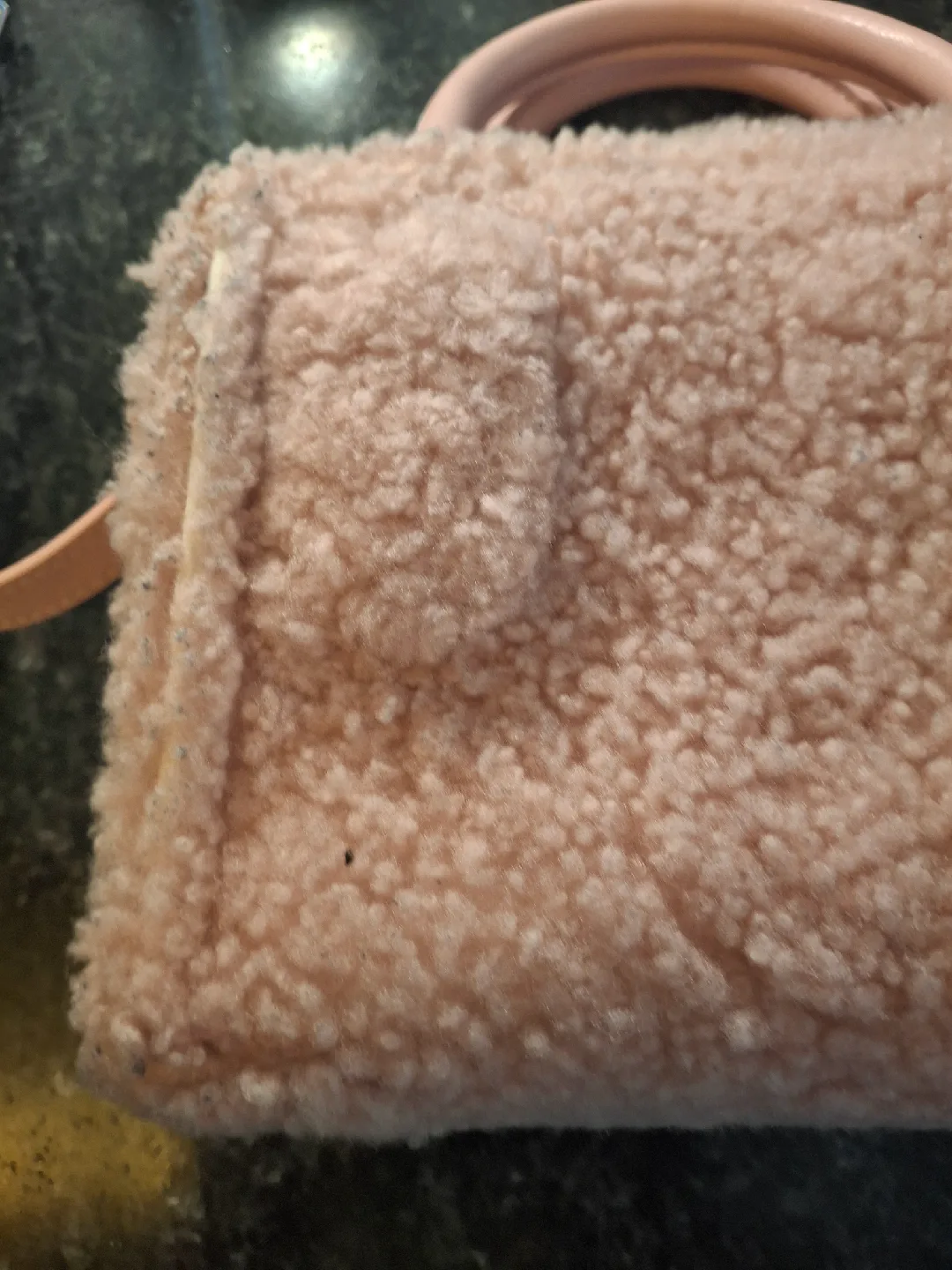 Brandon Blackwood New York Mini Teddy Kuei Bag image indicator(5)