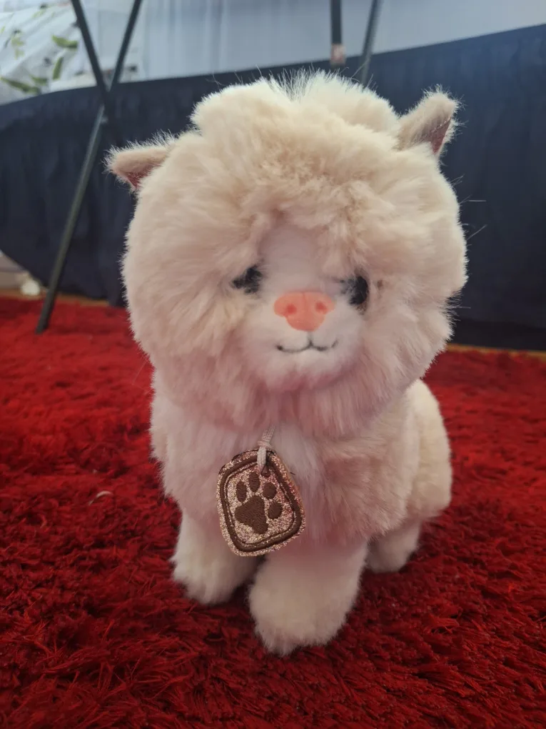 Assorted Plush Toys  (All 3 in $10) image indicator(2)