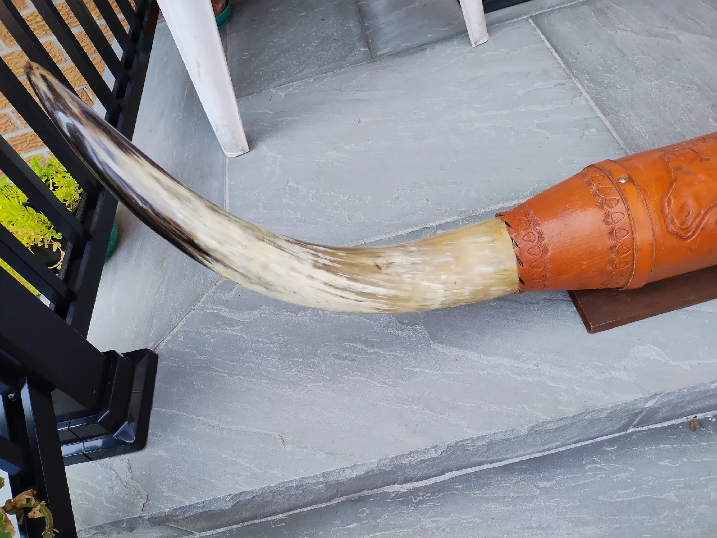 Decorative Carved LongHorn With Leather image indicator(2)