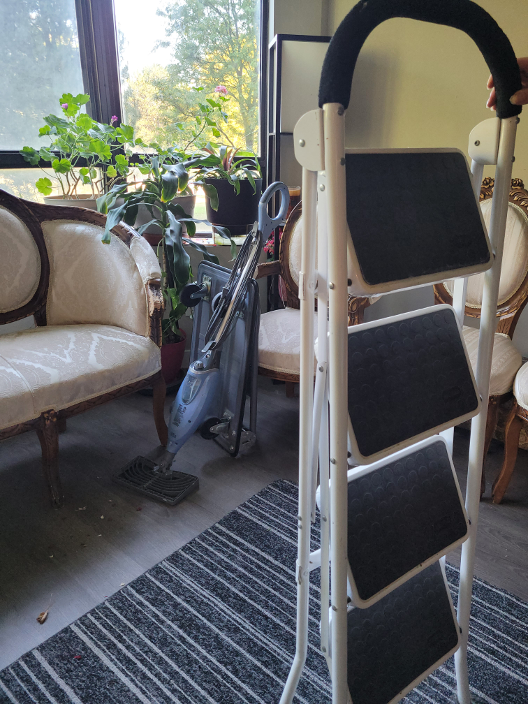 4-Step Folding Ladder