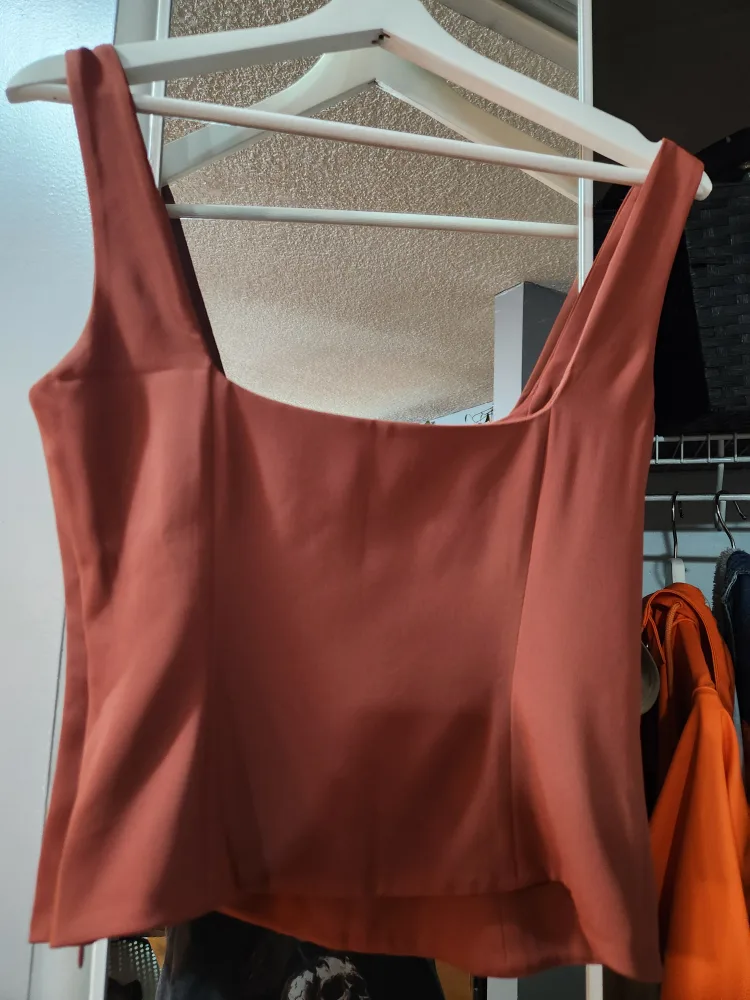 Wilfred Terracotta Corset Tank Top - Size 4 image indicator(2)