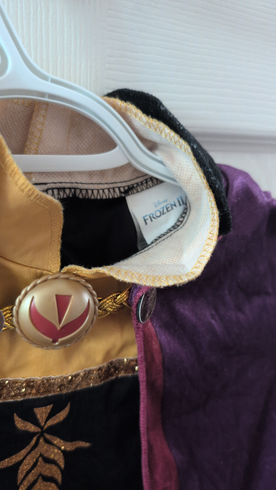 Disney Frozen II Anna Costume
