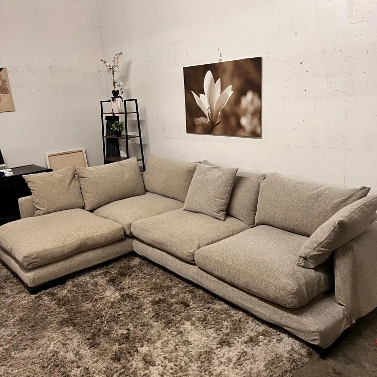 Camerich down filled sectional. cloud sofa couch. delivery image indicator(9)