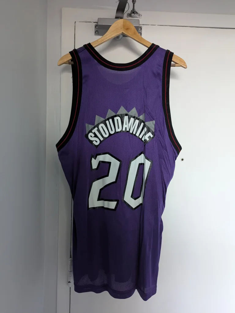 Damon Stoudamire #20 Toronto Raptors Jersey image indicator(2)