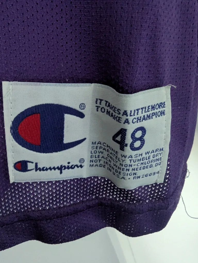 Damon Stoudamire #20 Toronto Raptors Jersey image indicator(3)