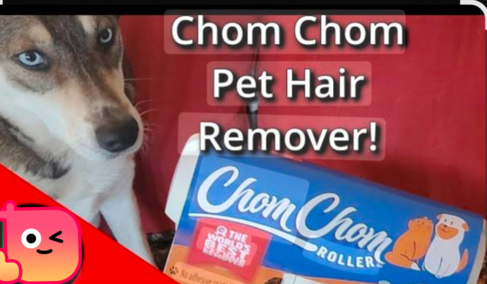 ChomChom Roller Pet Hair Remover