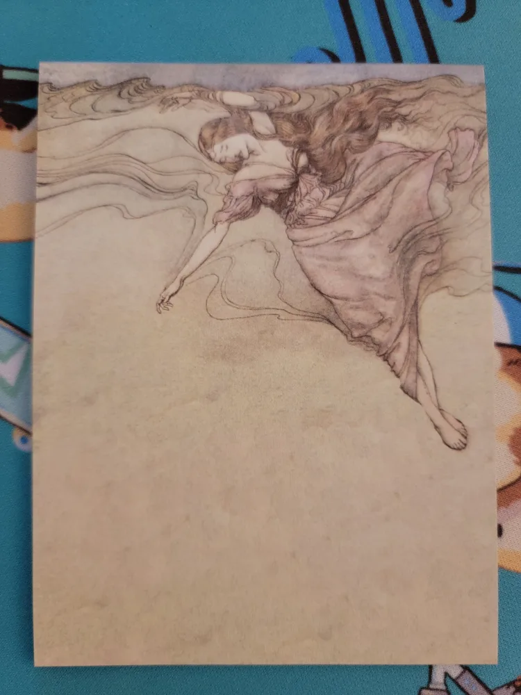 🥕 Assorted Cute Stickii Club Notes image indicator(7)