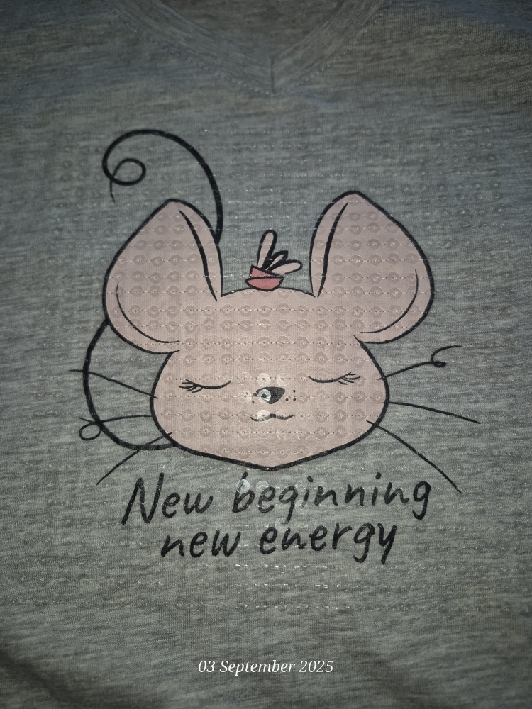 New La Vie en Rose Grey Tee - Size M - photo 2