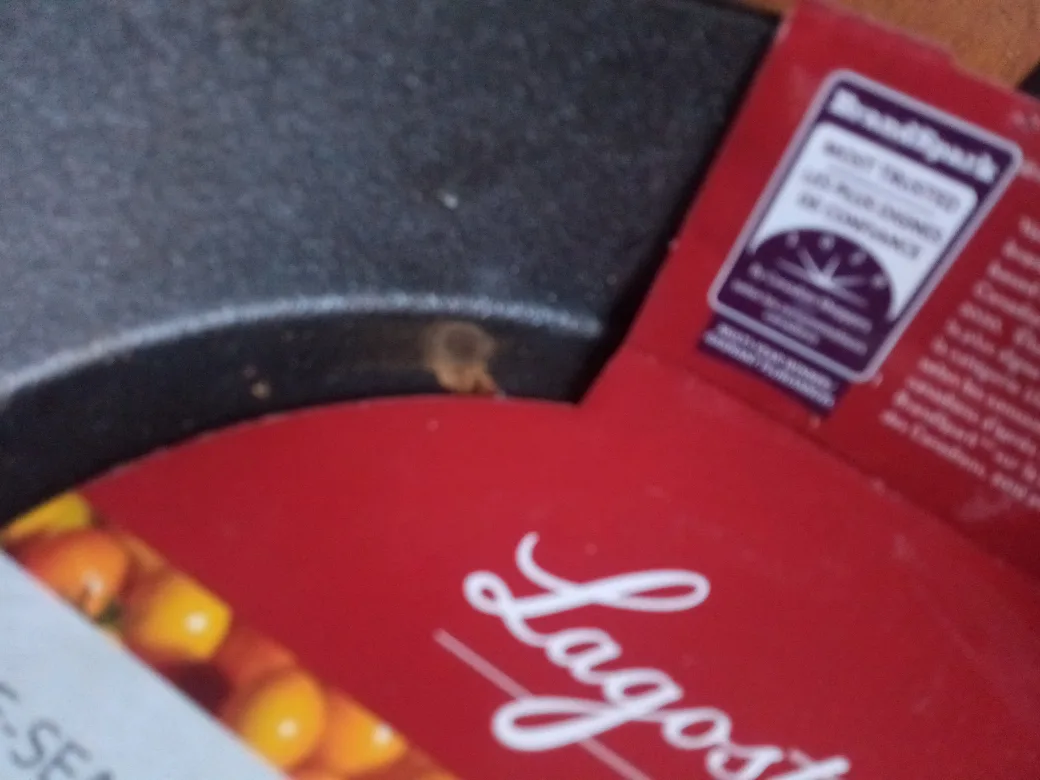 Lagostina Pre-Seasoned Cast Iron Skillet 26cm (10in) image indicator(4)