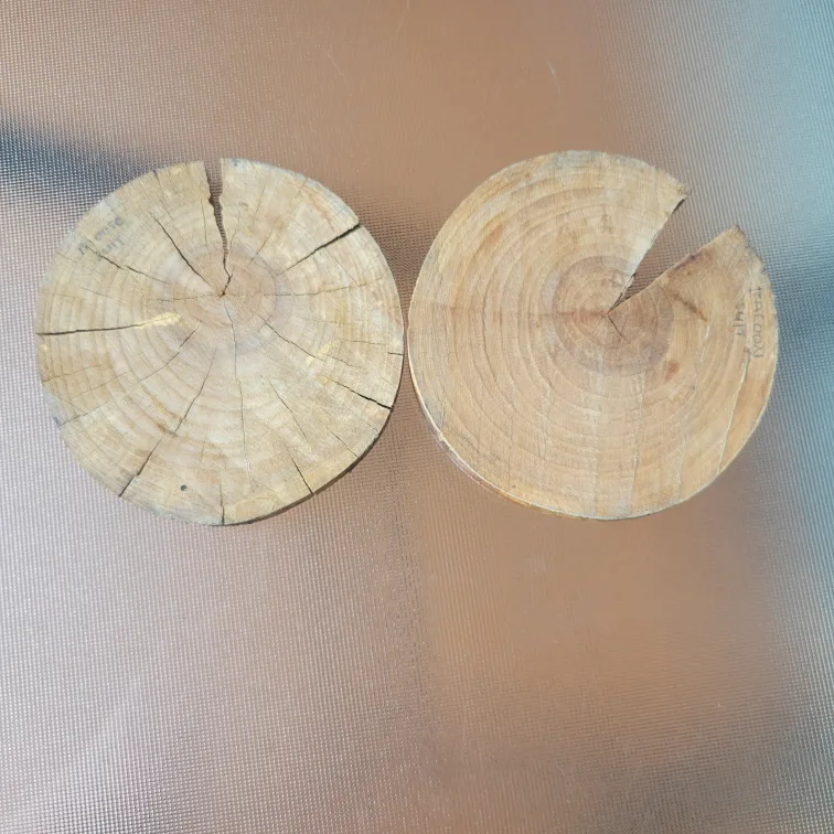 Hand-Painted Wood Slice Art - Moose & Raccoon image indicator(2)