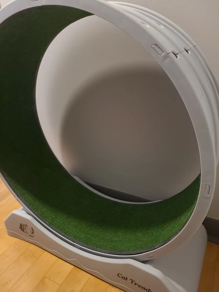 Large Cat Treadmill Exercise Wheel image indicator(3)