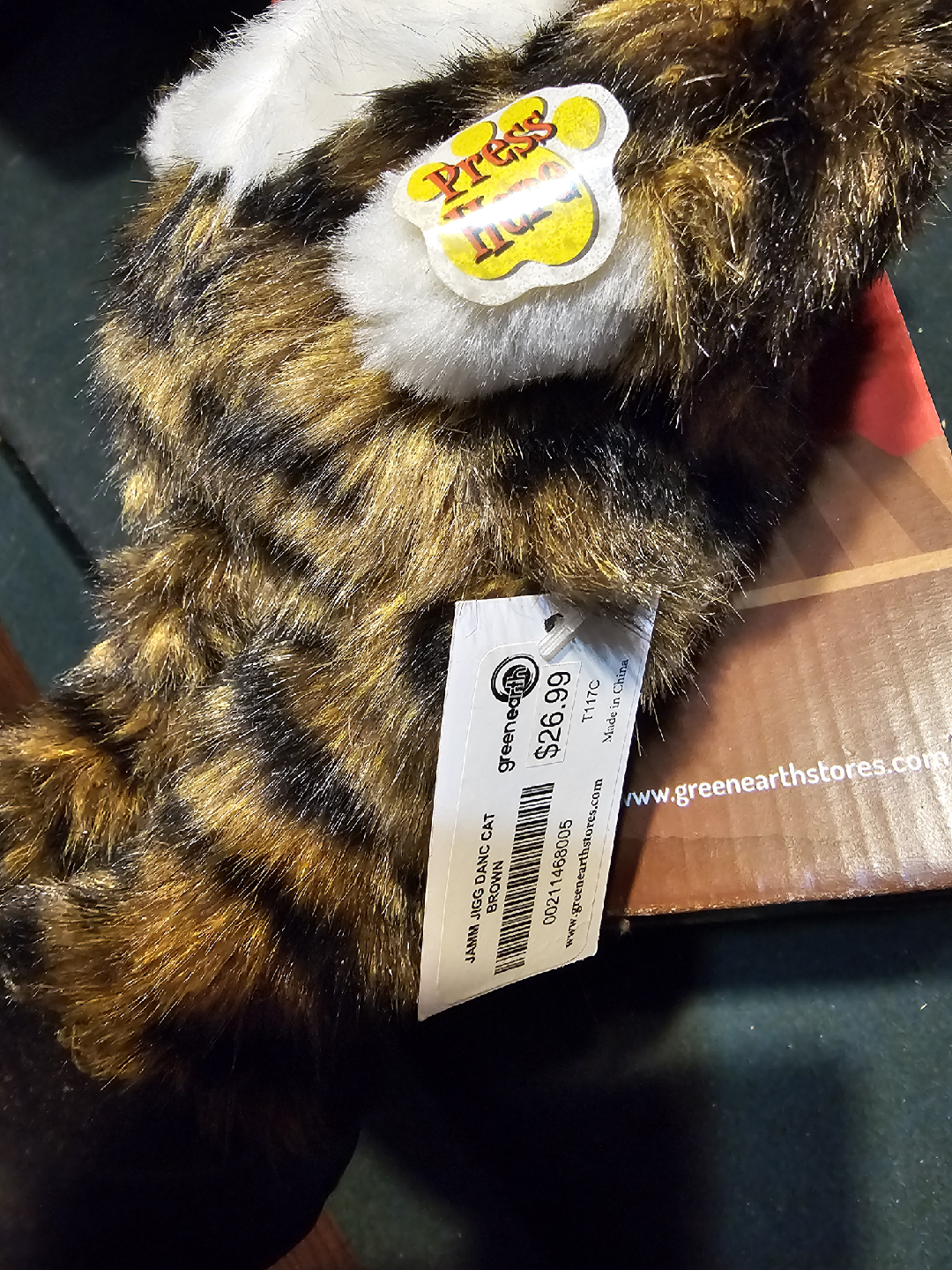 Jamming Jiggs dancing cat - photo 5