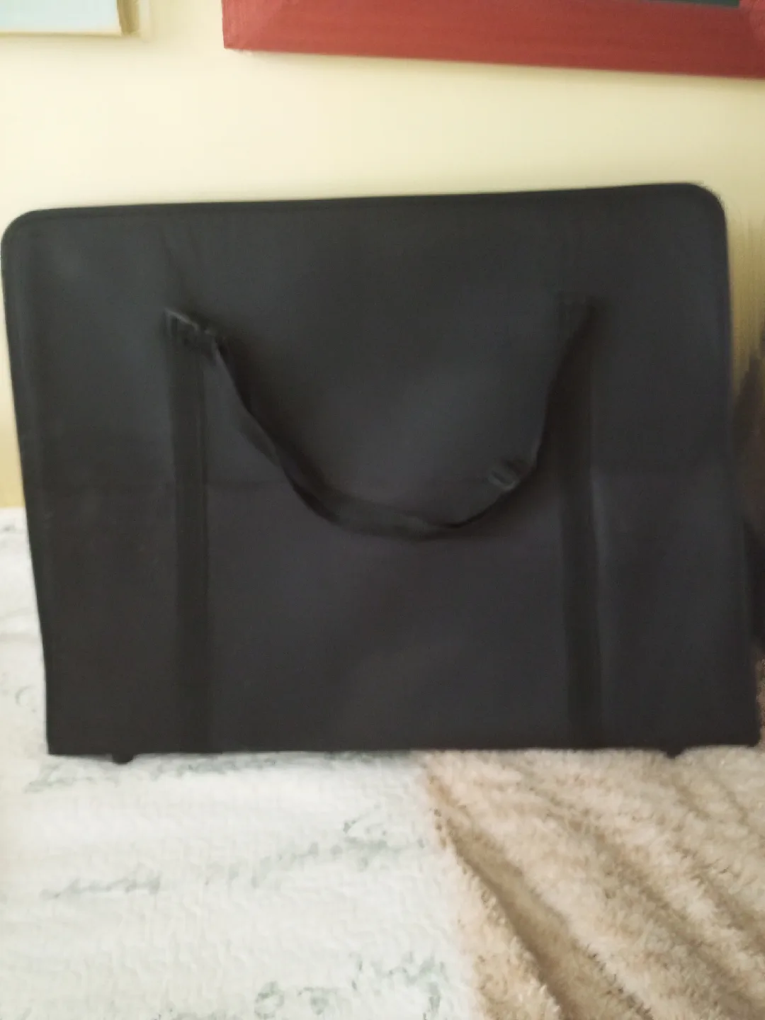 Black Portfolio Case image indicator(2)